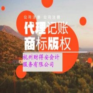 代理記賬做什么?